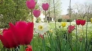Domaine De Poudos 3* Auterive (Gers)